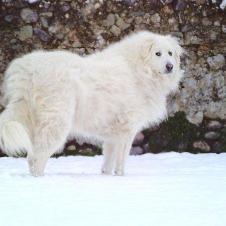 Chateau De Heaas Feas 外观 照片