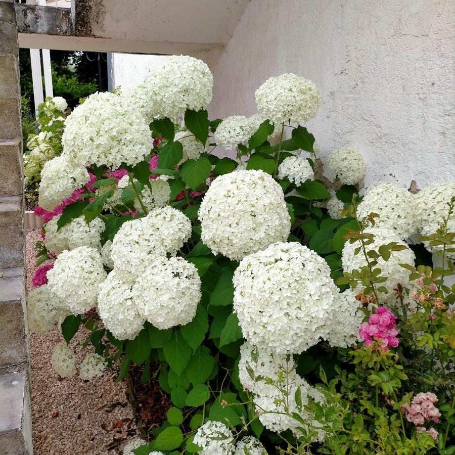 Chateau De Heaas Feas 外观 照片